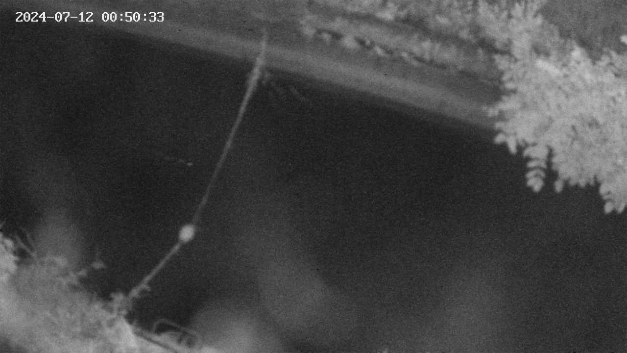 area10-20240712005034.jpg