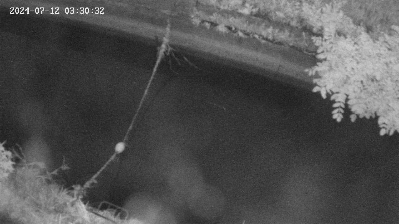 area10-20240712033033.jpg