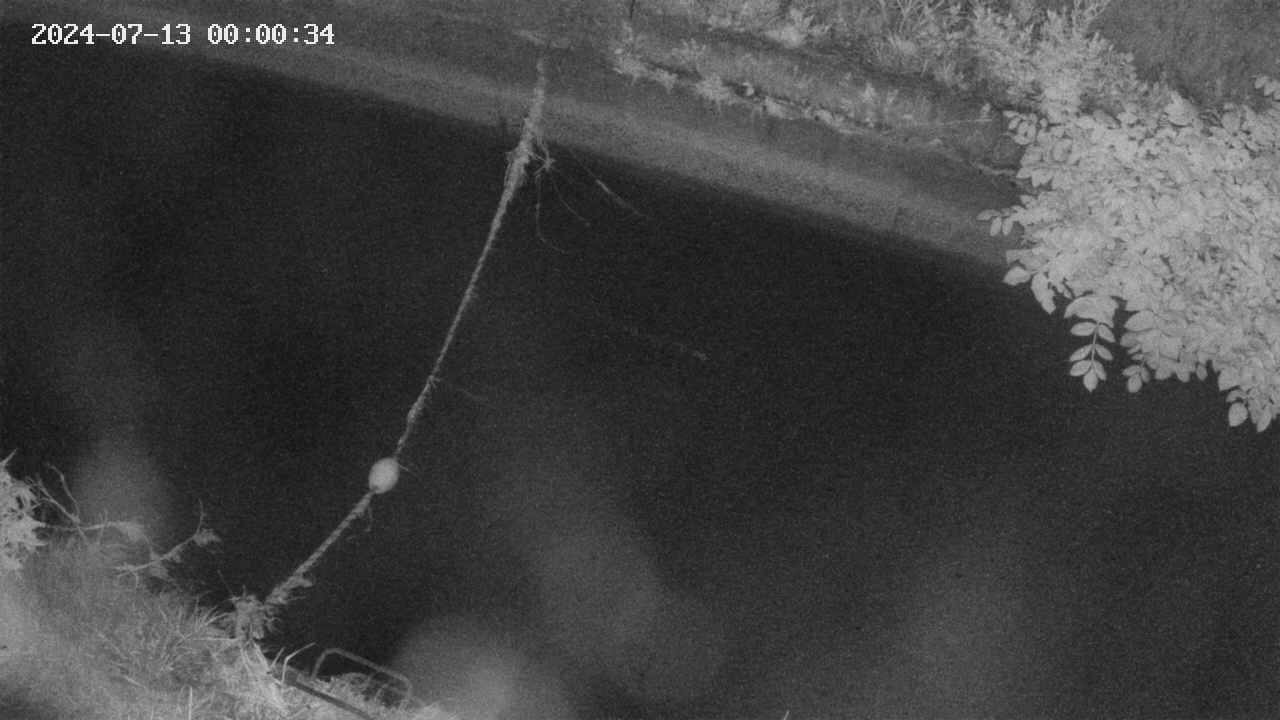 area10-20240713000034.jpg