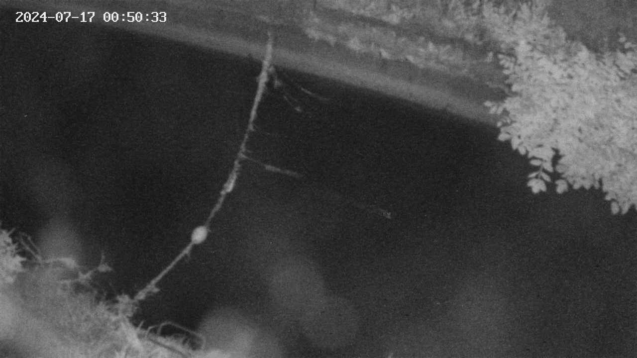 area10-20240717005034.jpg