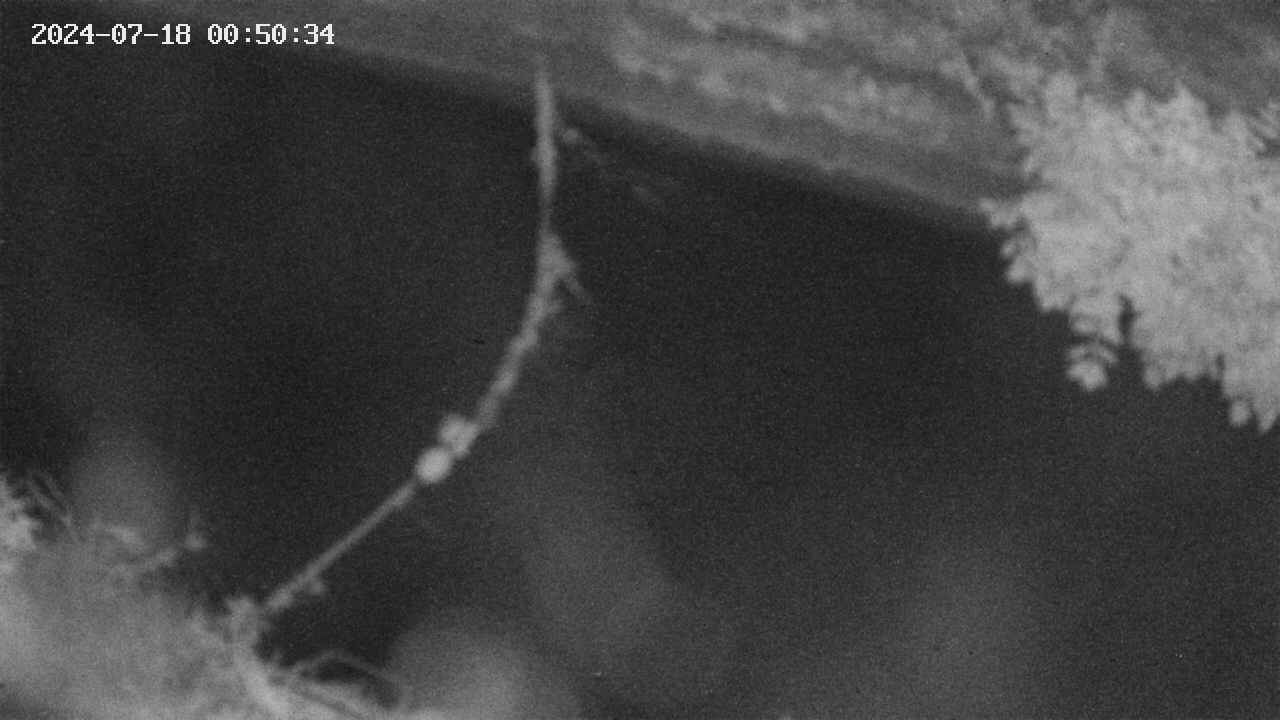 area10-20240718005035.jpg