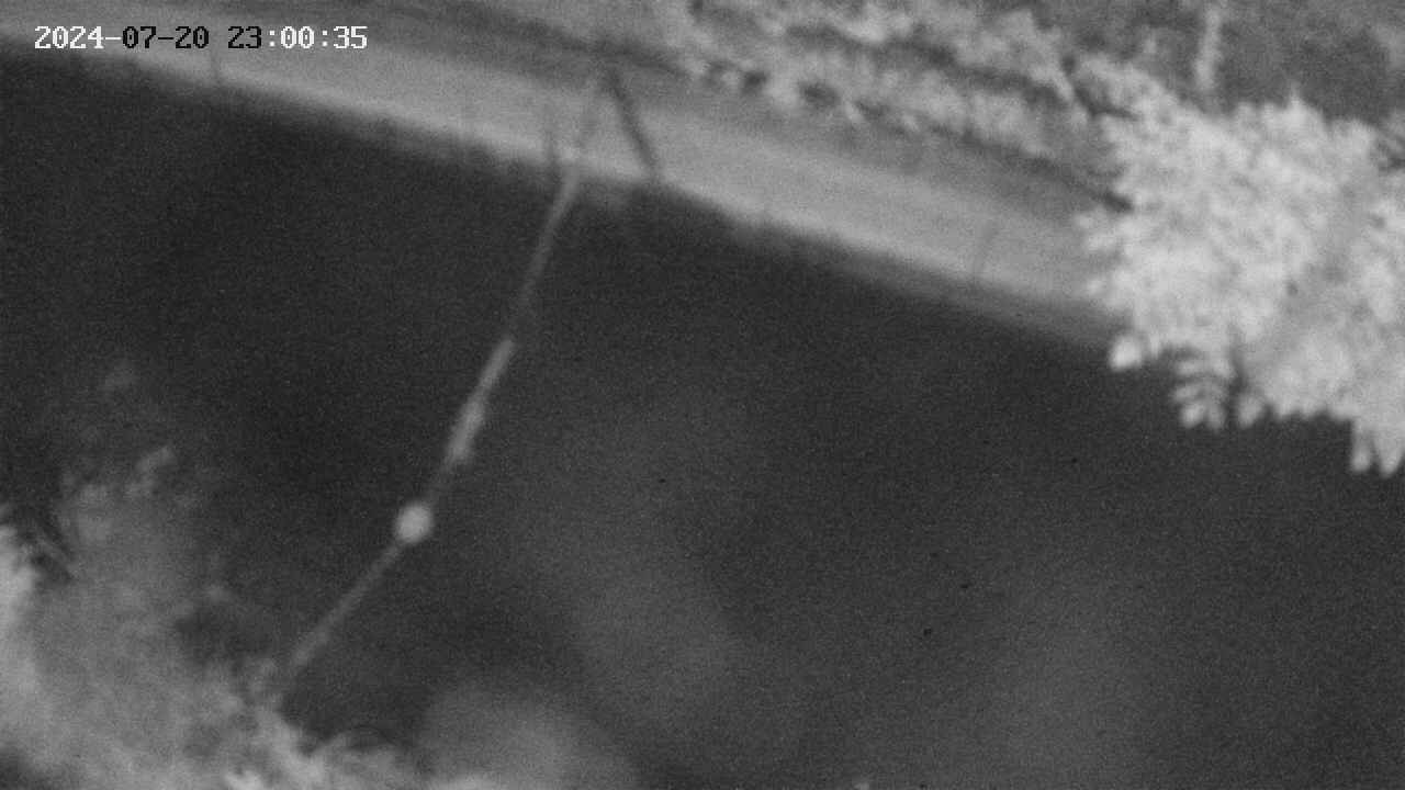 area10-20240720230036.jpg