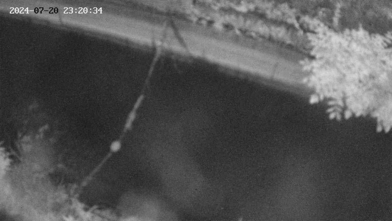 area10-20240720232035.jpg