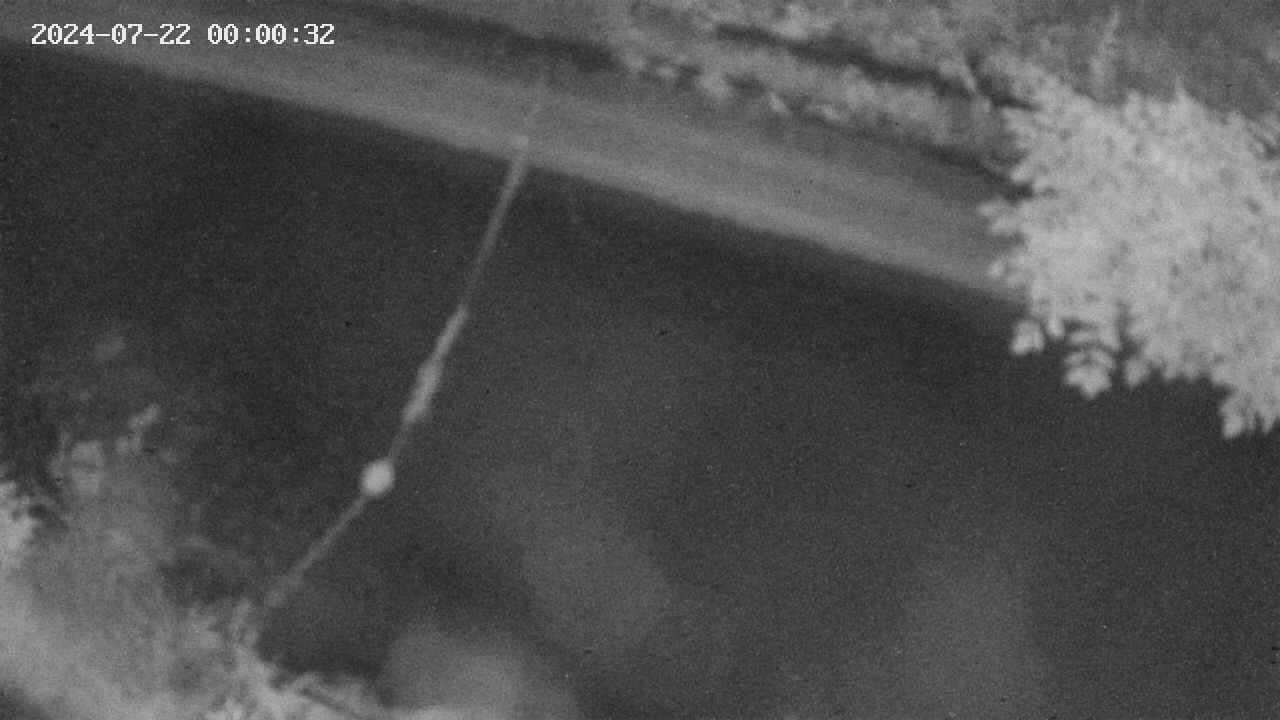 area10-20240722000032.jpg