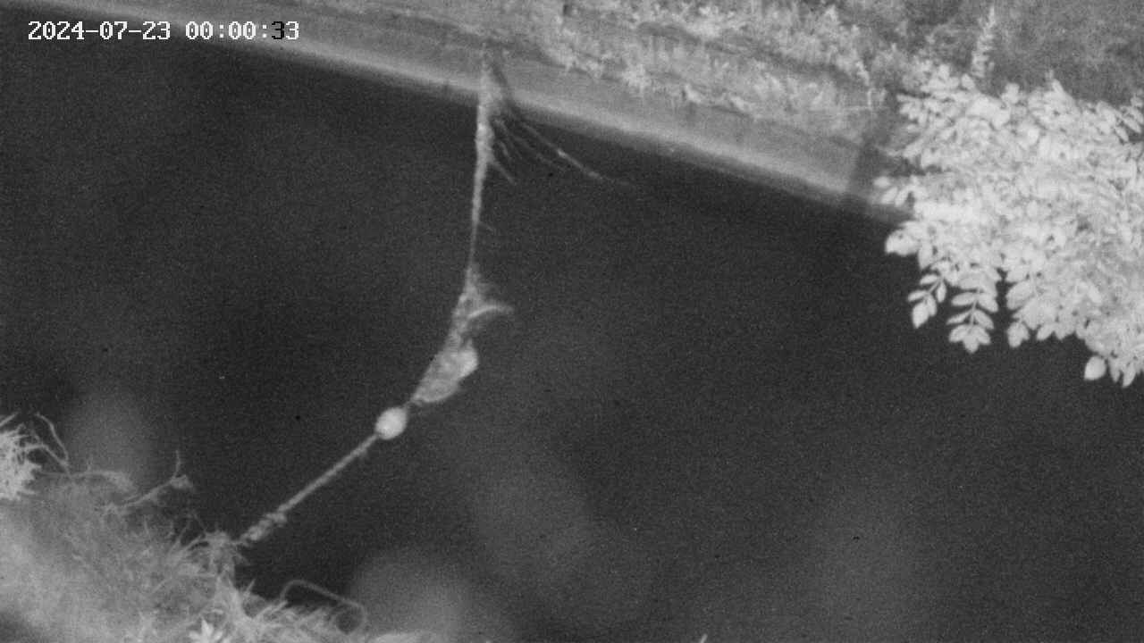 area10-20240723000034.jpg