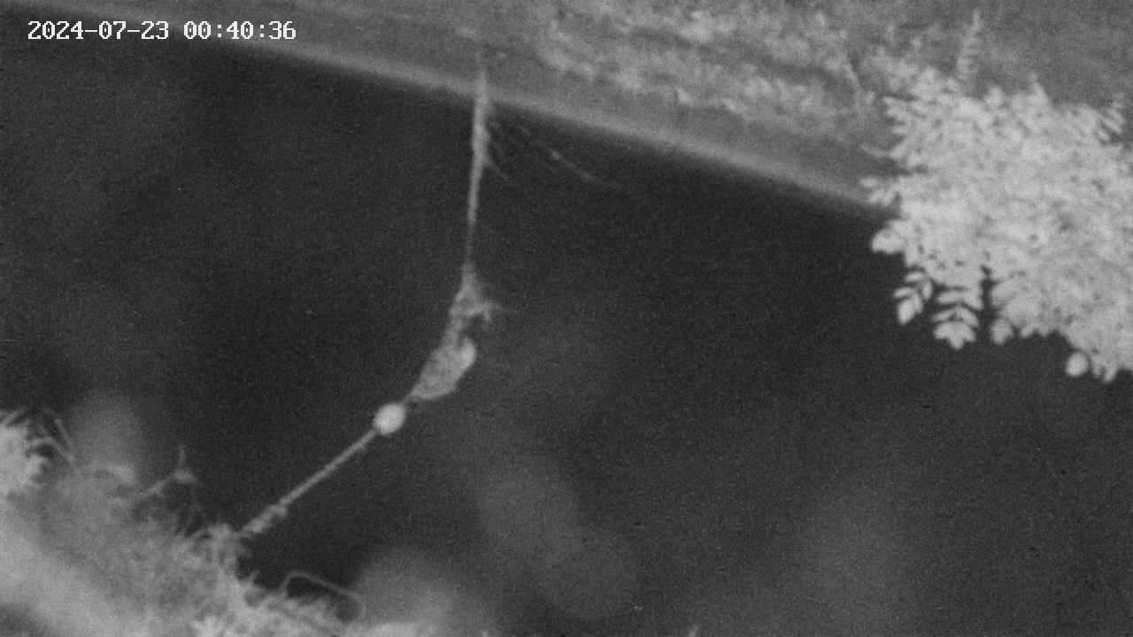 area10-20240723004036.jpg