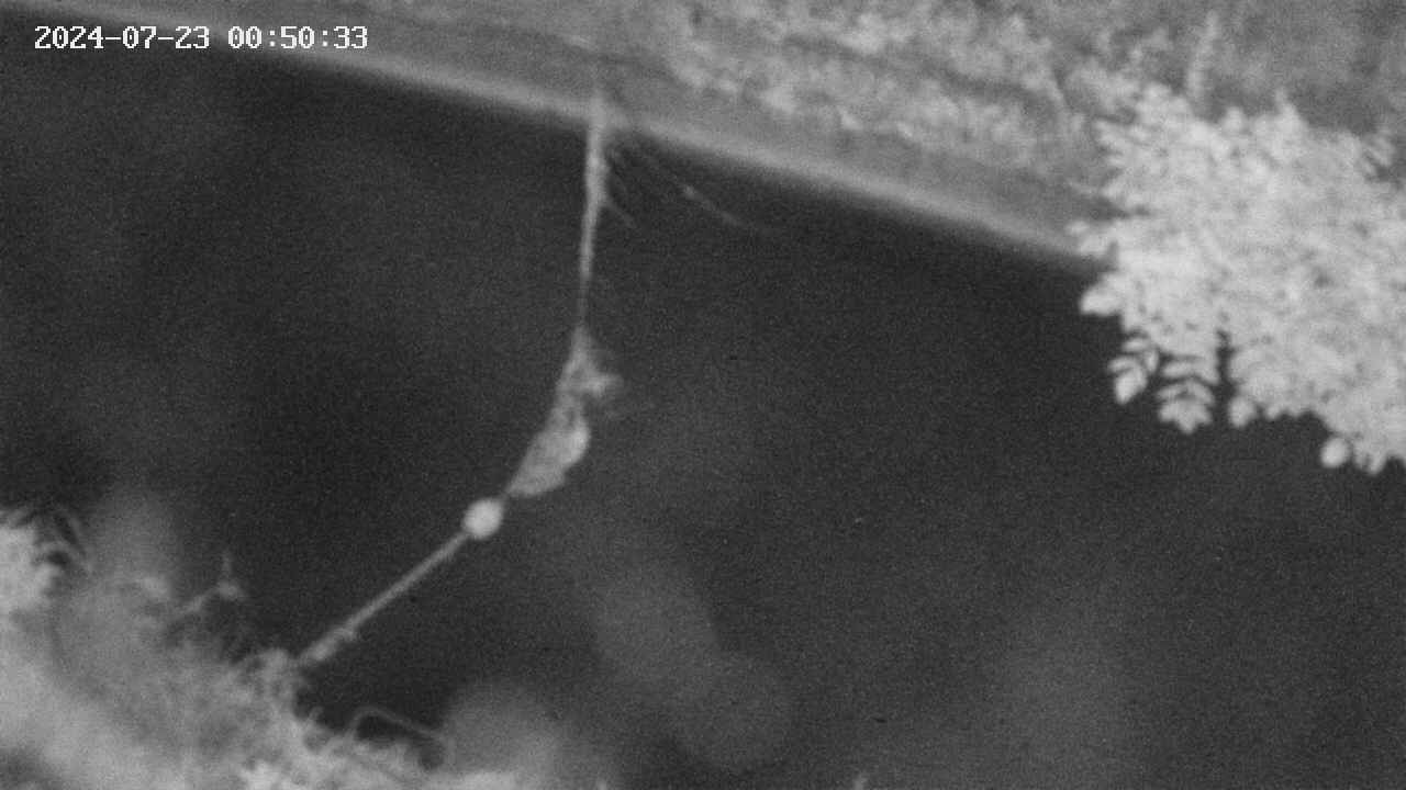 area10-20240723005034.jpg