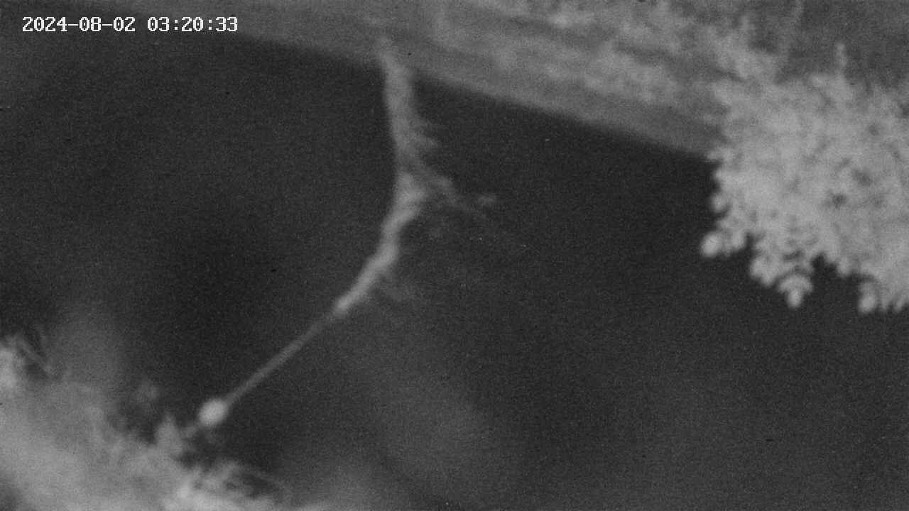 area10-20240802032034.jpg