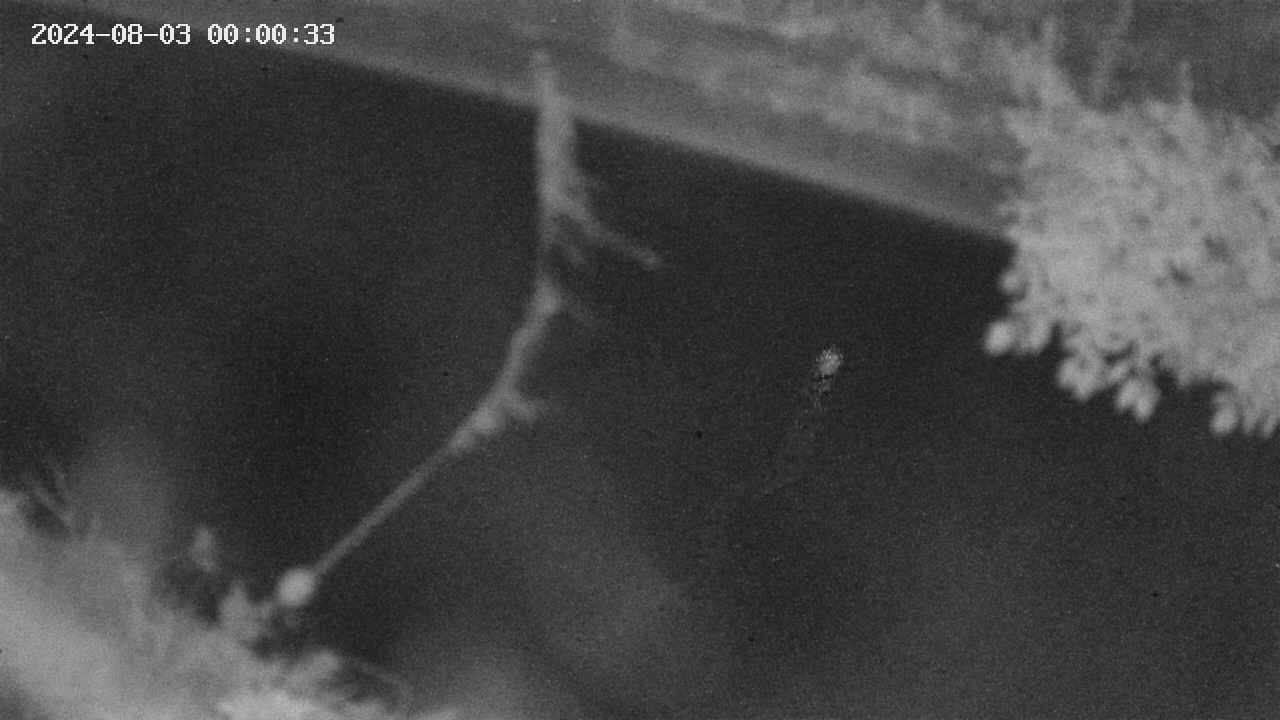 area10-20240803000034.jpg