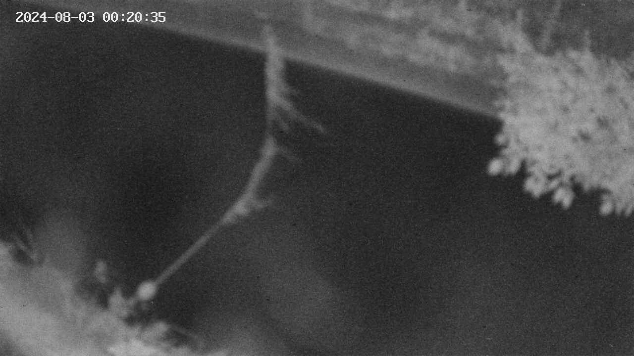 area10-20240803002035.jpg