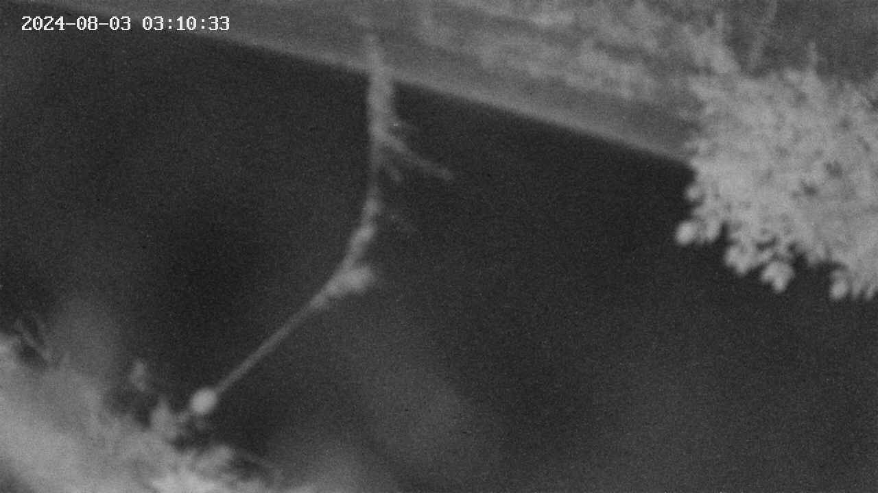 area10-20240803031033.jpg