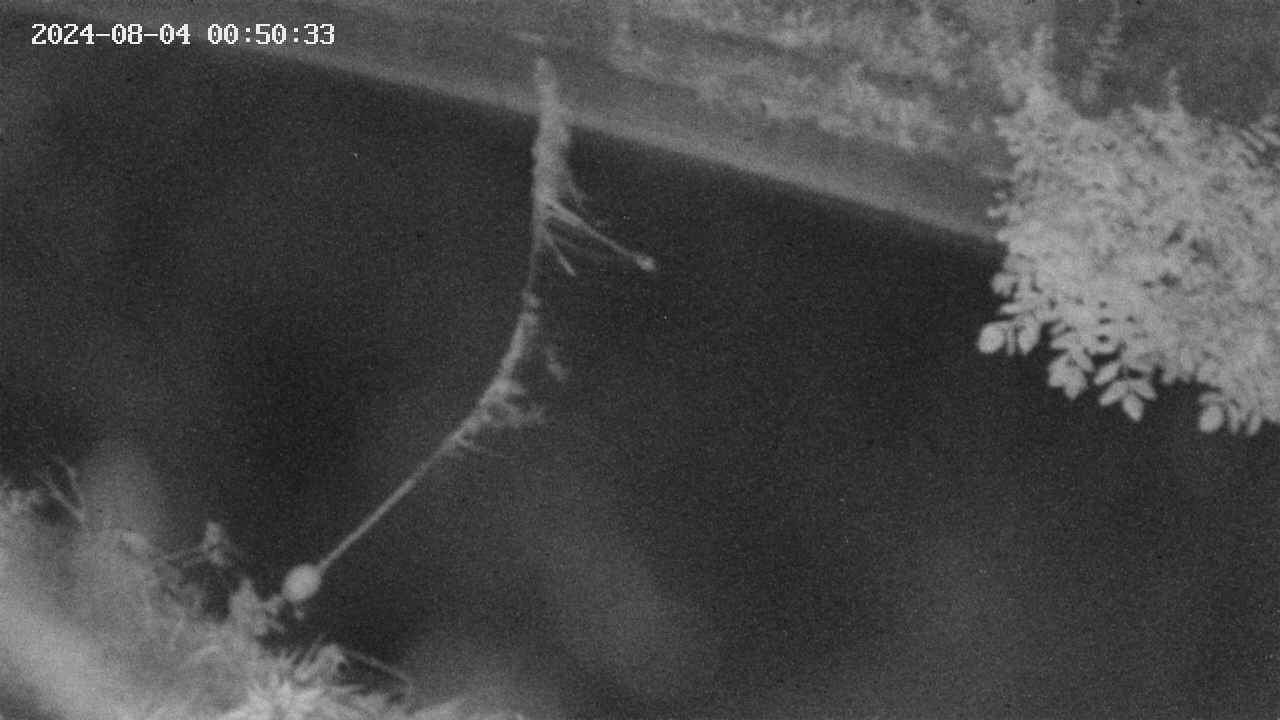 area10-20240804005033.jpg