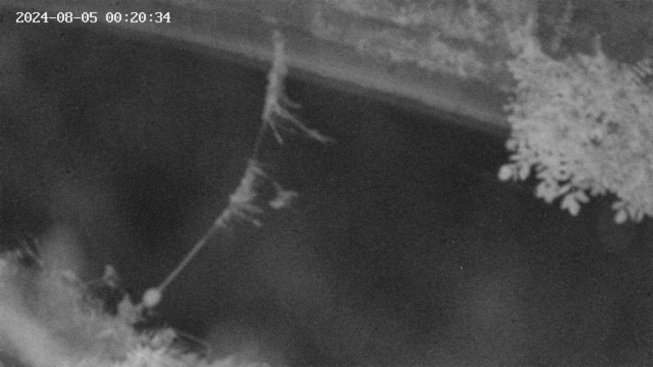 area10-20240805002035.jpg