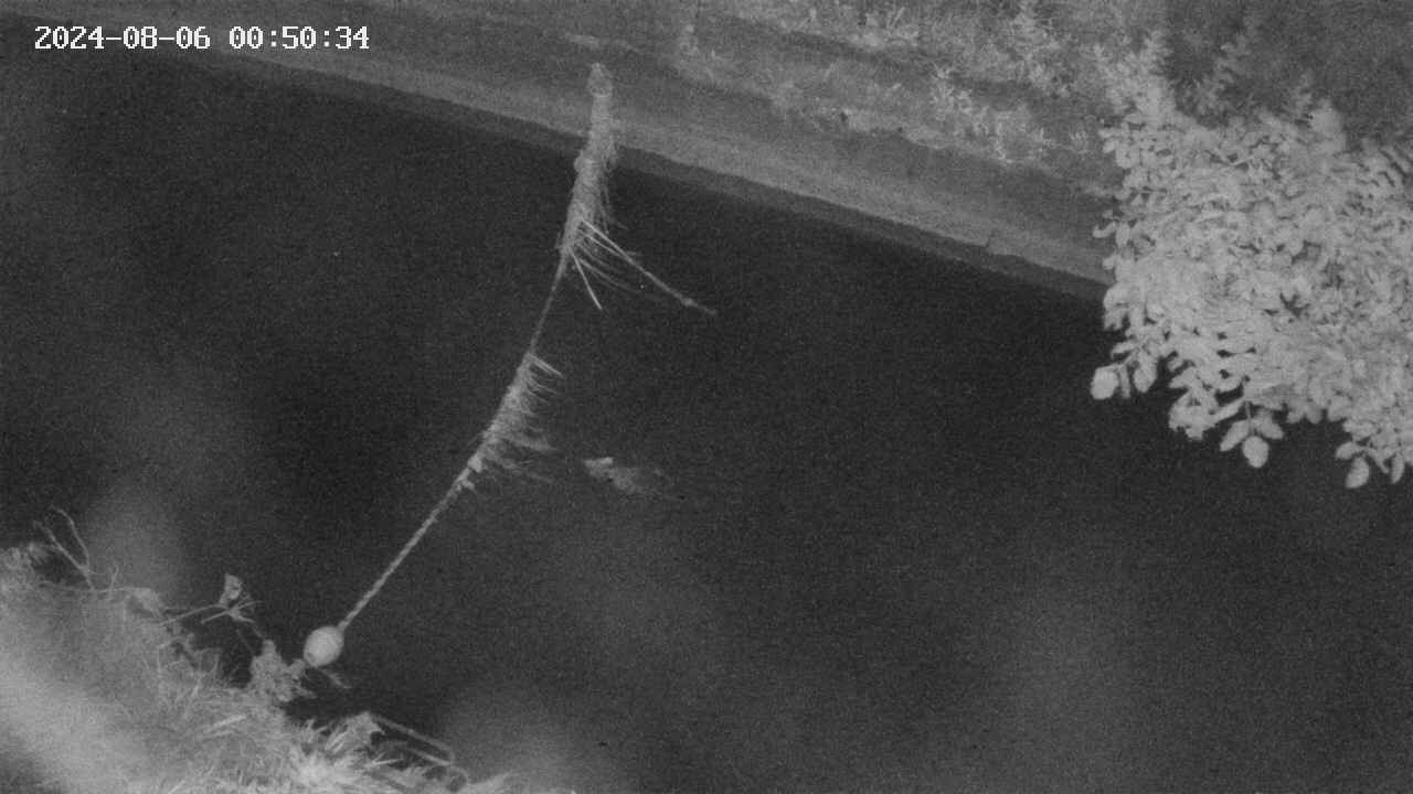 area10-20240806005034.jpg