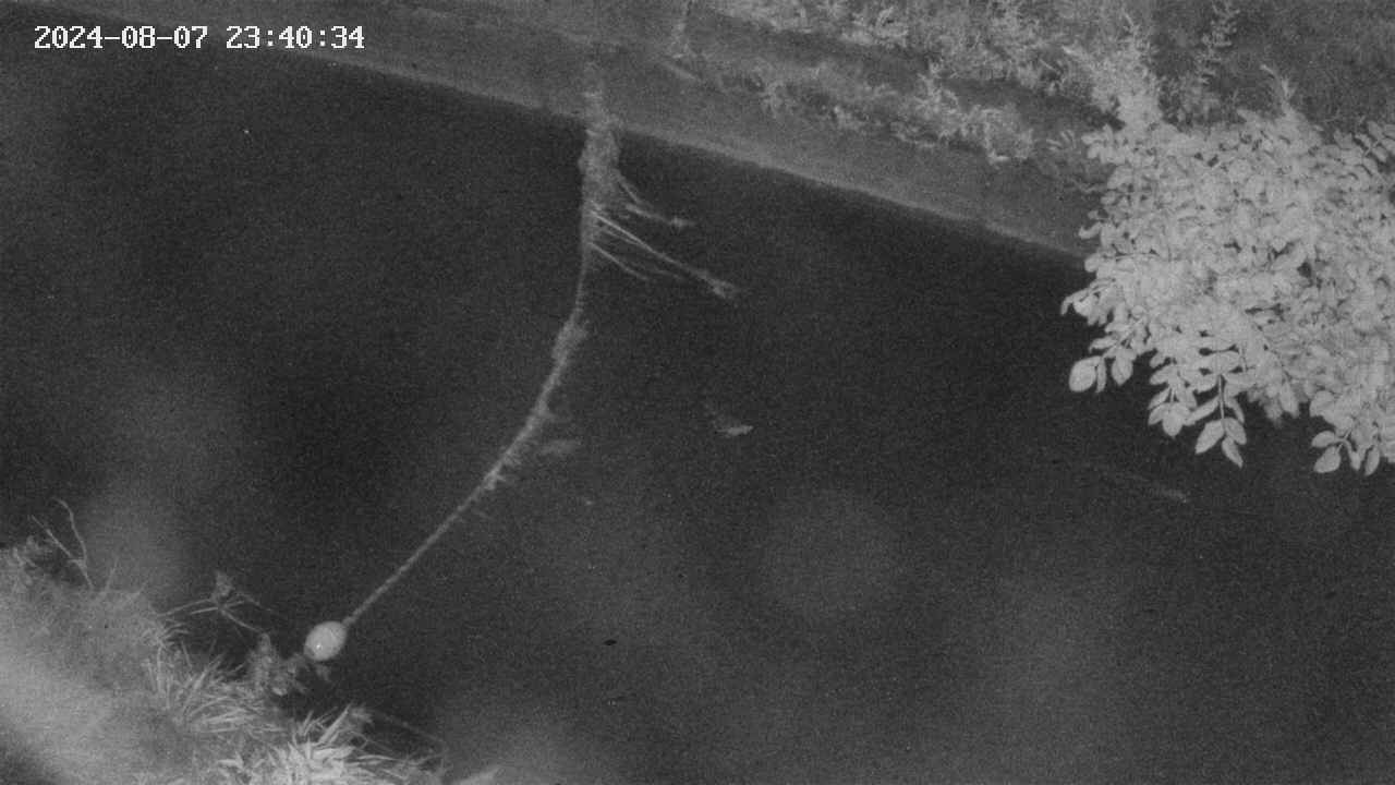 area10-20240807234035.jpg