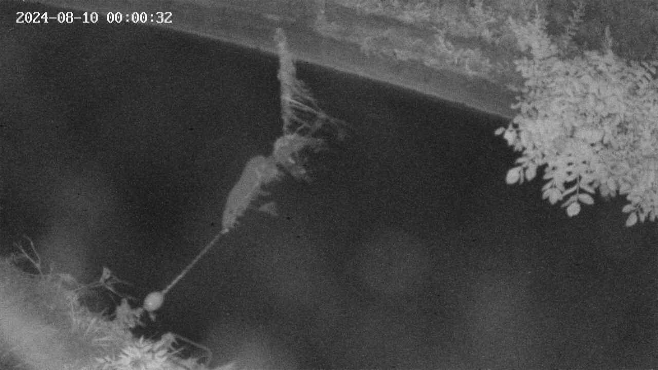 area10-20240810000033.jpg