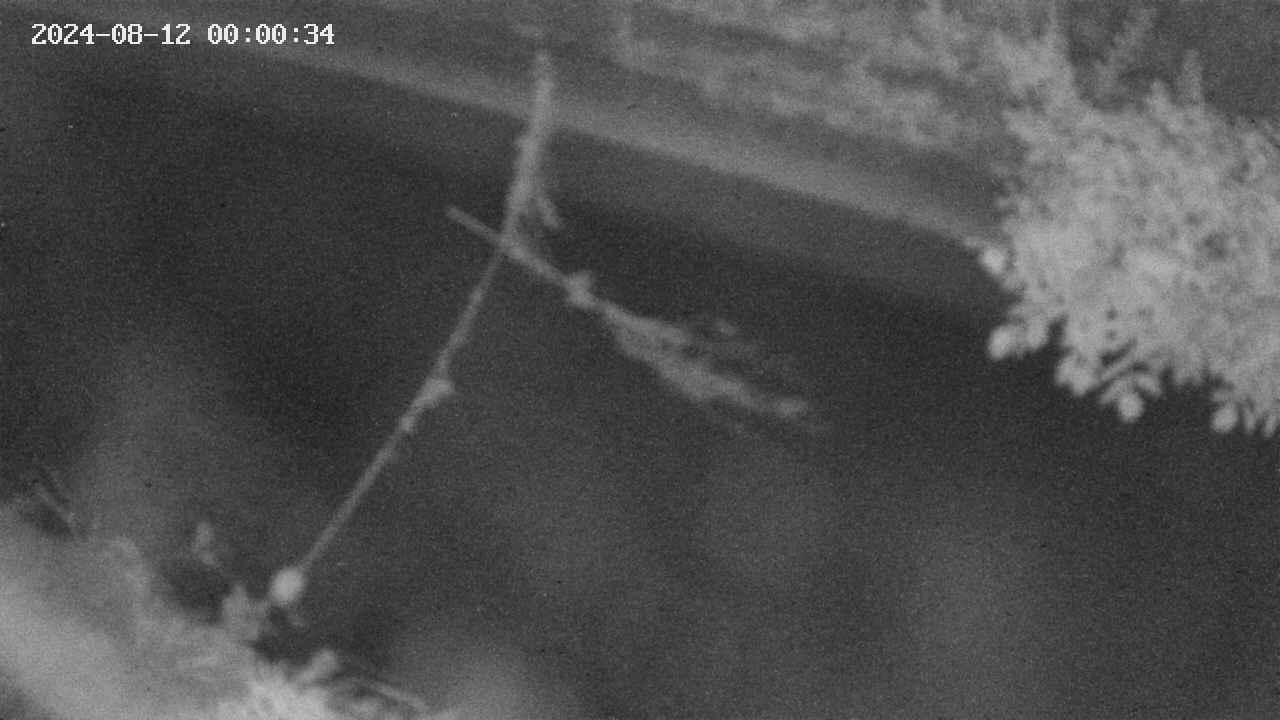 area10-20240812000034.jpg