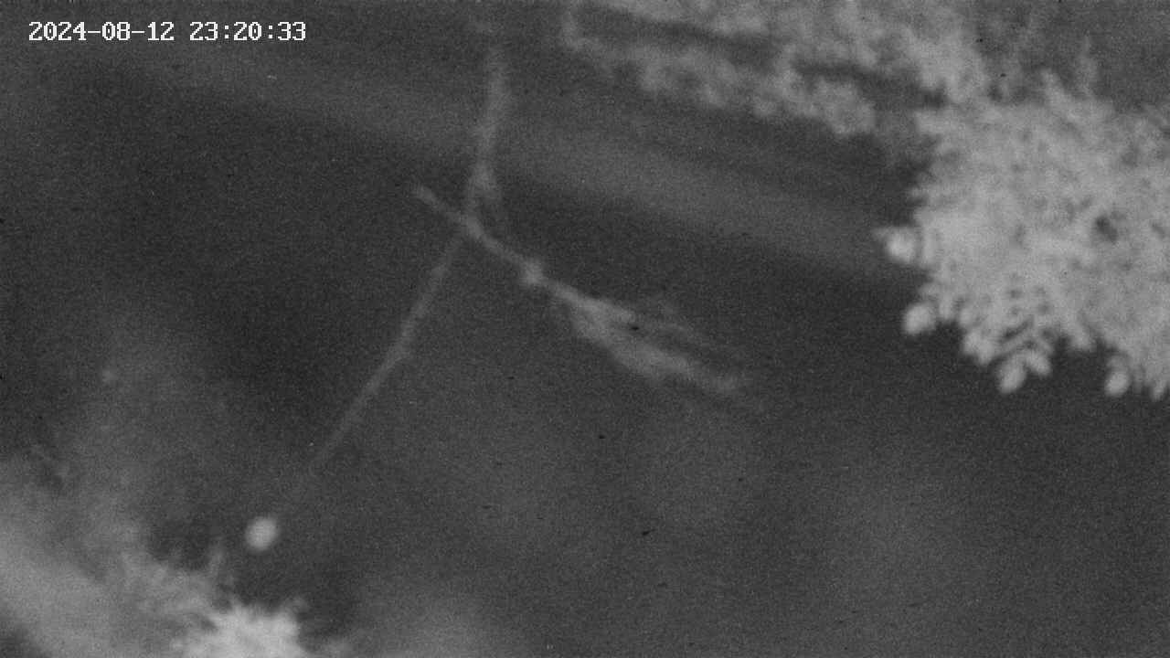 area10-20240812232034.jpg