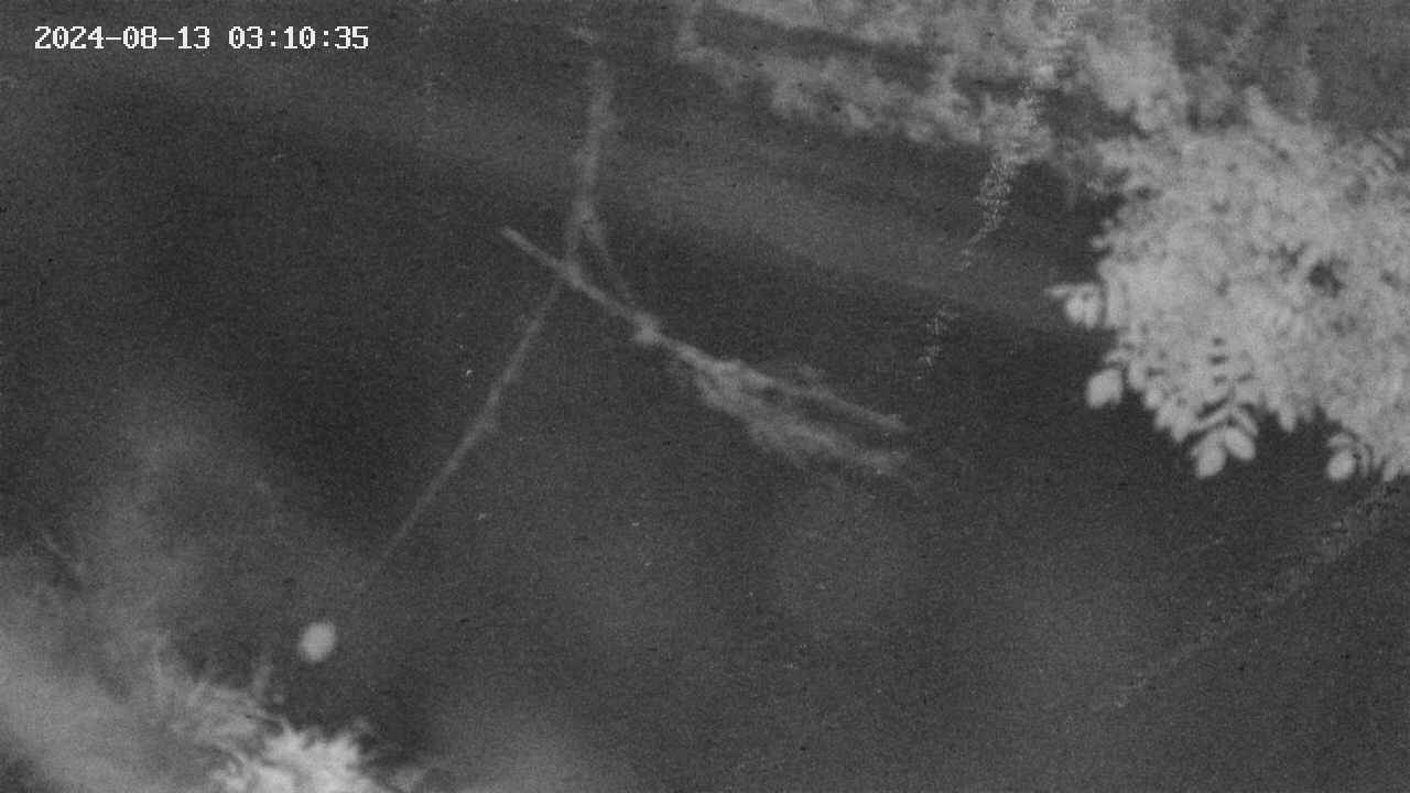 area10-20240813031036.jpg