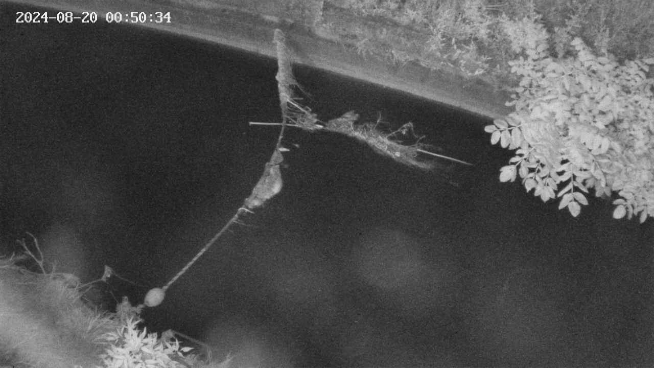 area10-20240820005035.jpg
