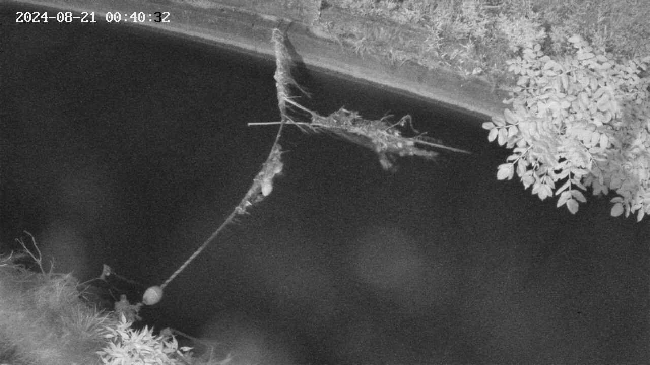 area10-20240821004034.jpg