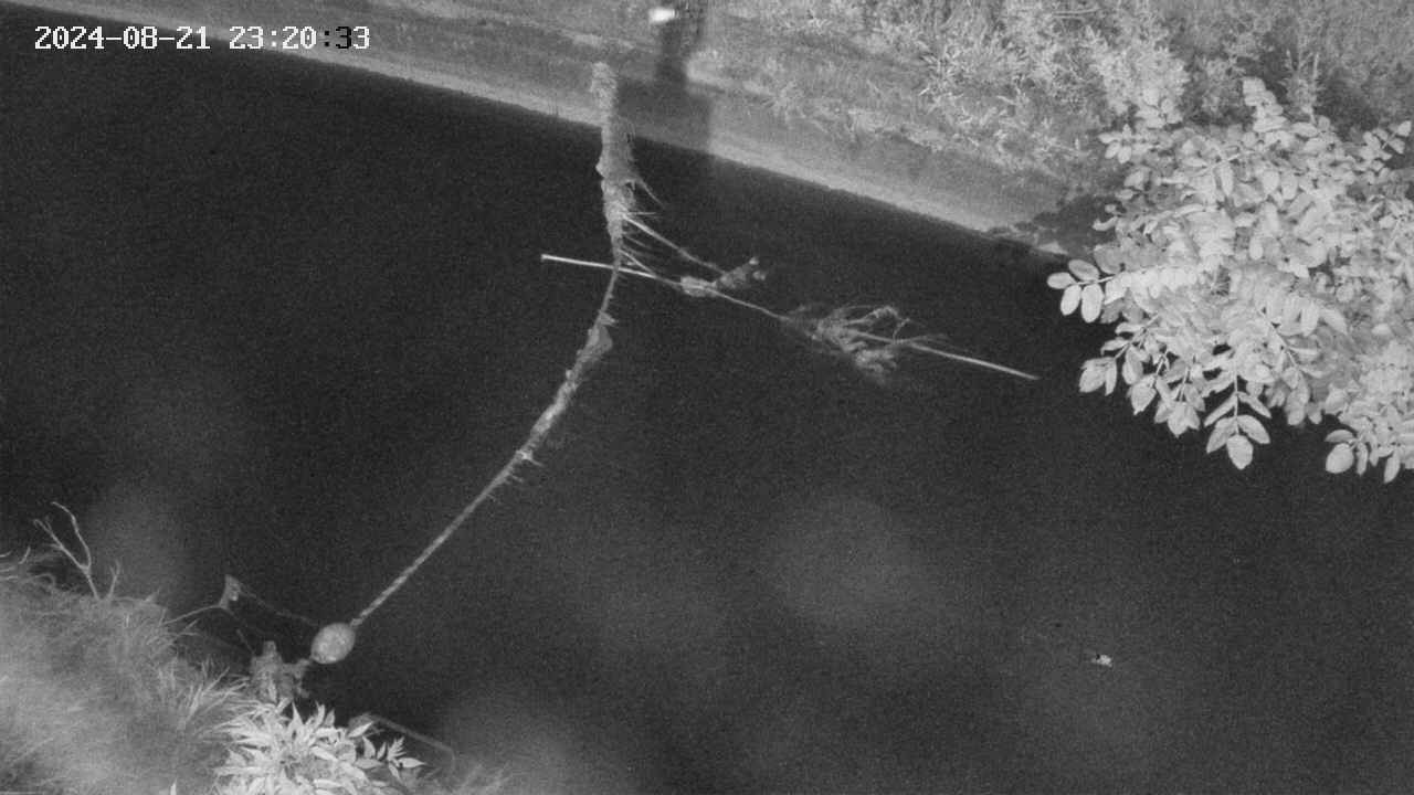 area10-20240821232034.jpg