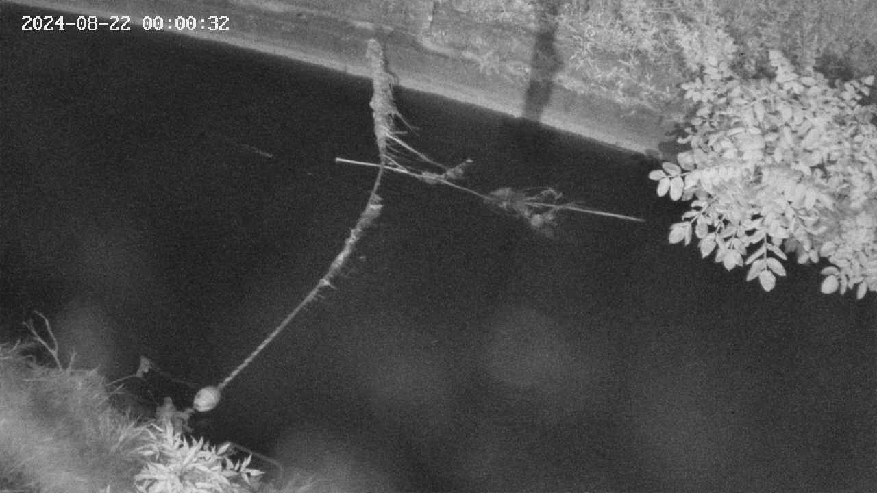 area10-20240822000033.jpg