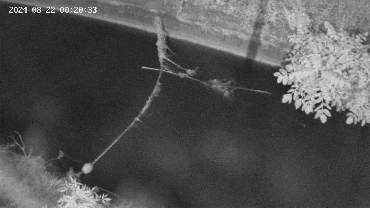 area10-20240822002035.jpg
