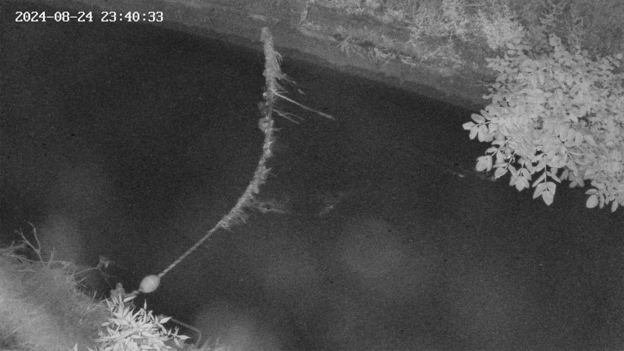 area10-20240824234034.jpg