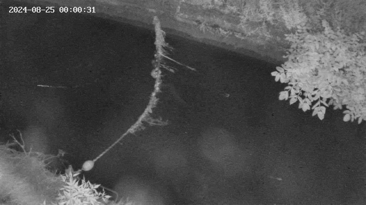 area10-20240825000033.jpg