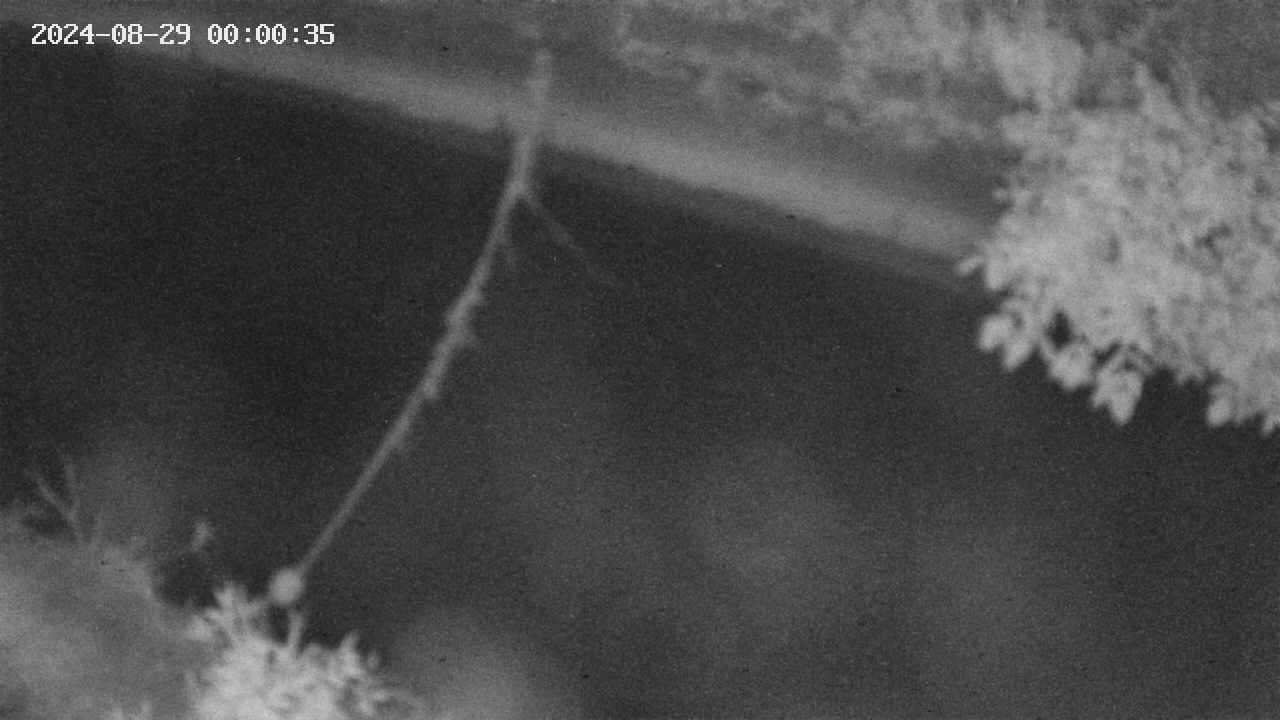 area10-20240829000036.jpg