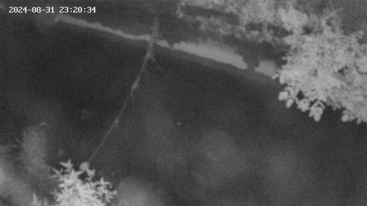 area10-20240831232038.jpg