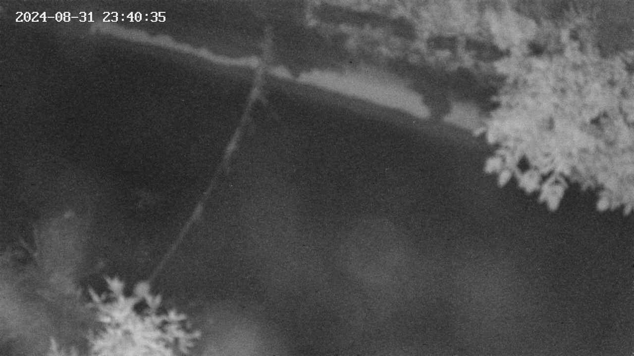 area10-20240831234037.jpg