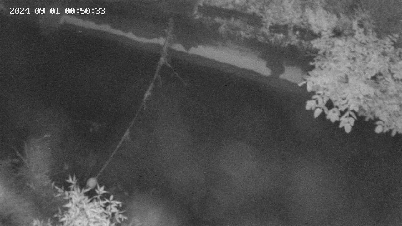area10-20240901005035.jpg