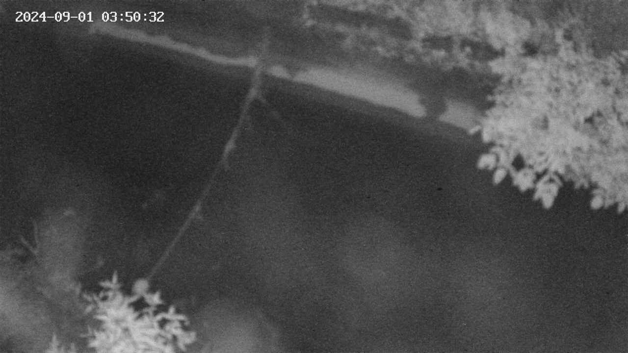 area10-20240901035033.jpg