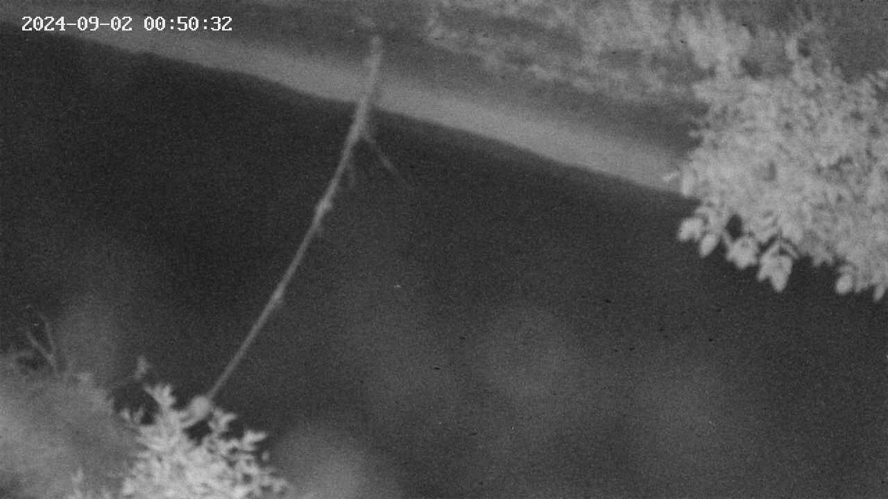 area10-20240902005033.jpg