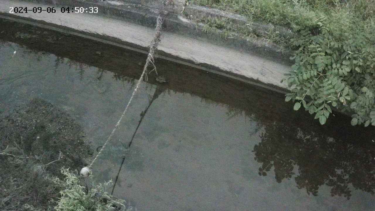 area10-20240906045034.jpg