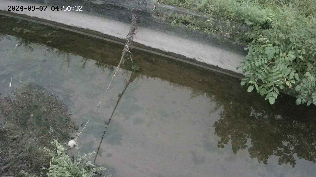 area10-20240907045034.jpg