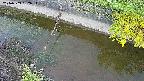 area10-20240909052035.jpg