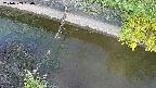 area10-20240909060034.jpg