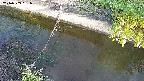 area10-20240909061033.jpg