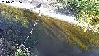 area10-20240909065035.jpg