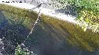 area10-20240909070035.jpg