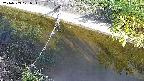 area10-20240909071035.jpg
