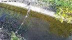 area10-20240909072034.jpg