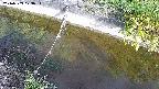 area10-20240909073035.jpg