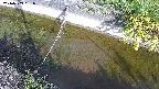 area10-20240909081034.jpg