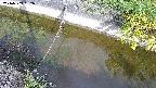 area10-20240909082034.jpg