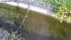 area10-20240909085034.jpg