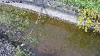 area10-20240909124036.jpg